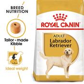 ROYAL CANIN Labrador Adult, 12kg image