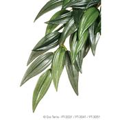 EXO TERRA Silk Rucus Plant image