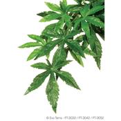 EXO TERRA Silk Abutilon Plant