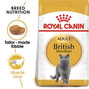 ROYAL CANIN British Shorthair Adult, 2kg image