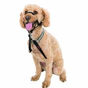 HALTI Headcollar image