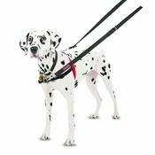 HALTI Harness image