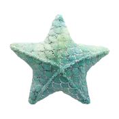 CAT 'n' CABOODLE Mermaid Starfish image