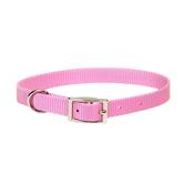 COASTAL Nylon Dog Collar, Pink image