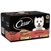 CESAR Classic Terrine Dog Food, 8x150g image