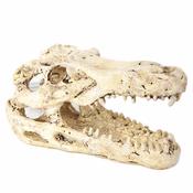 BETTA Mini Croc Skull image