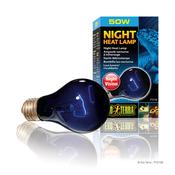 EXO TERRA Night Heat Lamp 50w image