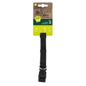 M-PETS Jolly Eco Dog Collar, Black image