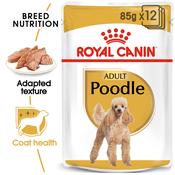 ROYAL CANIN Poodle Adult Pouch, 85g image