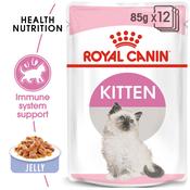 ROYAL CANIN Kitten Jelly Pouch, 85g image