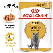 ROYAL CANIN British Shorthair Adult Pouch, 85g image