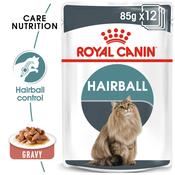 ROYAL CANIN Hairball Care Gravy Pouch, 85g image