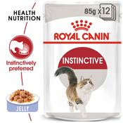 ROYAL CANIN Instinctive Adult Jelly Pouch, 85g image