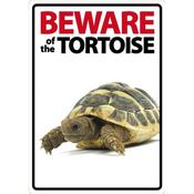 Beware of the Tortoise Sign image