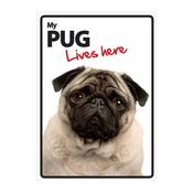 My Pug Lives Here Sign