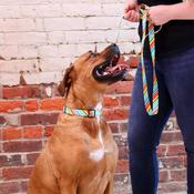STYLES Dog Lead, Hearts &amp;amp; Bones image