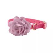 COASTAL Accent Dog Collar, Pink Flower image