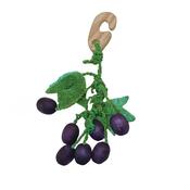 CRITTERS CHOICE Grape Nibbler image
