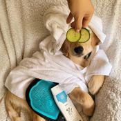 M-PETS Grooming Mitt image