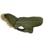 GO WALK Parka for Dogs, Green image