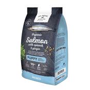 GO NATIVE Puppy Salmon Spinach &amp;amp; Ginger Dog Food, 12kg image