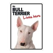 My Bull Terrier Lives Here Sign image