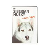 My Siberian Husky Lives Here Sign image