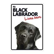 My Black Labrador Lives Here Sign image