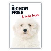 My Bichon Frise Lives Here Sign image