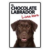 My Chocolate Labrador Lives Here Sign image