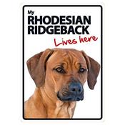 My Rhodesian Ridgeback Lives Here Sign image