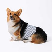M-PETS Washable Diaper, Male image