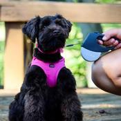 LI'L PALS Microfiber Dog Harness, Pink image