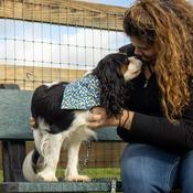 ACCENT Over-The-Collar Dog Bandana, Blue Diamonds image