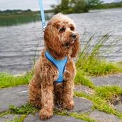 SUBLIME Reversible Dog Harness, Blue Waves &amp;amp; Checkers image