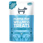 HOWND Playful Pup Wellness Treats image