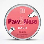 HEMP HEROS 250mg Nose &amp;amp; Paw Balm, 60ml image