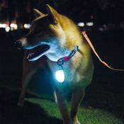M-PETS Rechargeable LED Jewel, White