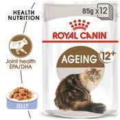 ROYAL CANIN Ageing (12+) Jelly Pouch, 85g image