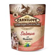 CARNILOVE Puppy Pouch Paté, Salmon &amp;amp; Blueberries 300g image