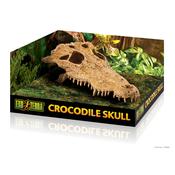 EXO TERRA Crocodile Skull image