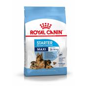 ROYAL CANIN Maxi Starter Mother &amp;amp; Baby Dog image
