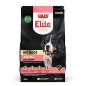 GAIN ELITE Big Dog Adult, Salmon image