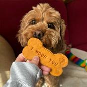 LIFE OF RILEY I Woof You Biscuit image