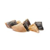 FRIGERA Calf Hoof, Single image