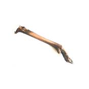 O'KEEFFES Roe Deer Leg Natural, Small image