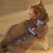 M-PETS Gentle Cat Harness &amp;amp; Leash, Blue image