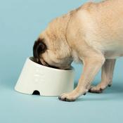 SCRUFFS Icon Flat Faced Pet Bowl, Cream image