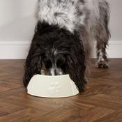 SCRUFFS Icon Long Eared Dog Bowl, Cream image