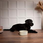 SCRUFFS Icon Food Dog Bowl, Cream image